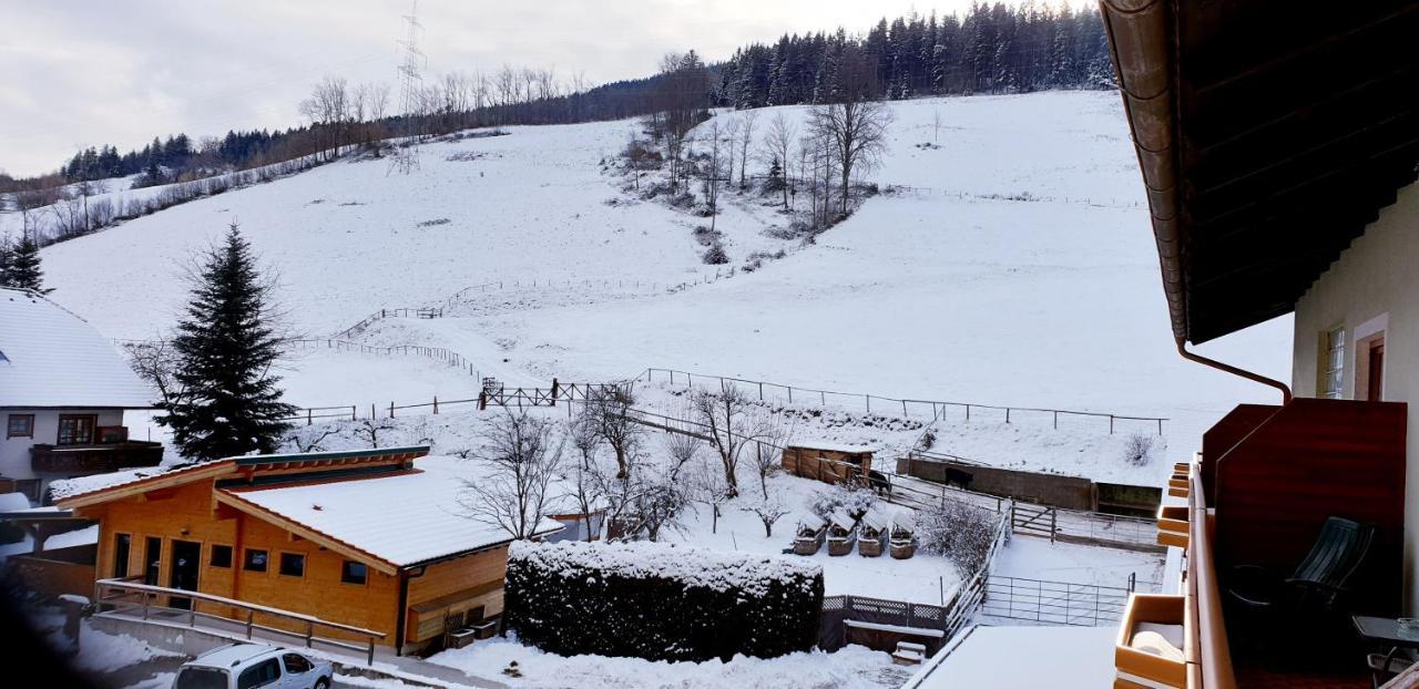 Hotel Hubertushof Trattenbach  Exteriér fotografie